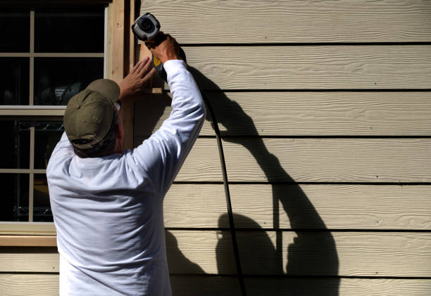 Best Insulated Siding Installation  in Vcennes, IN